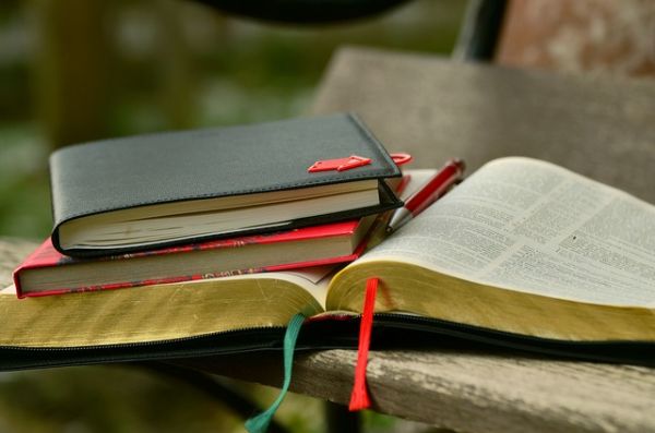 how-to-use-multiple-bible-translations